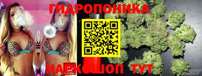МДПВ Старая Купавна
