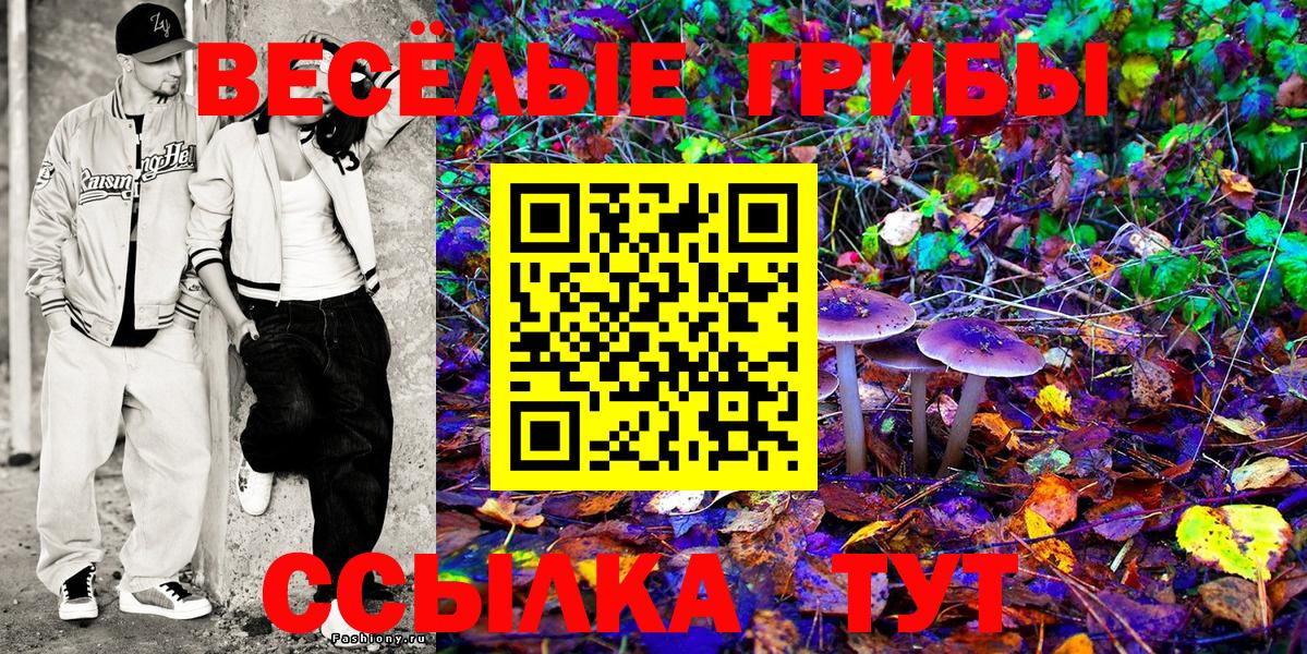Новодвинск  Галлюциногенные грибы прущие грибы  Галлюциногенные грибы Psilocybe  Вход с VPN 